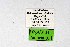  ( - DNAwthPamiria011)  @11 [ ] Copyright (2025) Wolfgang ten Hagen Unspecified