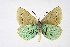  ( - DNAwthPamiria012)  @11 [ ] Copyright (2025) Wolfgang ten Hagen Unspecified