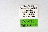  ( - DNAwthPamiria012)  @11 [ ] Copyright (2025) Wolfgang ten Hagen Unspecified