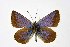  ( - DNAwthPamiria013)  @11 [ ] Copyright (2025) Wolfgang ten Hagen Unspecified