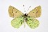  ( - DNAwthPamiria013)  @11 [ ] Copyright (2025) Wolfgang ten Hagen Unspecified