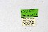  ( - DNAwthPamiria013)  @11 [ ] Copyright (2025) Wolfgang ten Hagen Unspecified