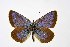  ( - DNAwthPamiria014)  @11 [ ] Copyright (2025) Wolfgang ten Hagen Unspecified