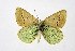  ( - DNAwthPamiria014)  @11 [ ] Copyright (2025) Wolfgang ten Hagen Unspecified