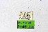  ( - DNAwthPamiria014)  @11 [ ] Copyright (2025) Wolfgang ten Hagen Unspecified