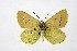  ( - DNAwthPamiria017)  @11 [ ] Copyright (2025) Wolfgang ten Hagen Unspecified