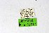  ( - DNAwthPamiria017)  @11 [ ] Copyright (2025) Wolfgang ten Hagen Unspecified