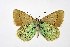  ( - DNAwthPamiria018)  @11 [ ] Copyright (2025) Wolfgang ten Hagen Unspecified