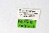  ( - DNAwthPamiria018)  @11 [ ] Copyright (2025) Wolfgang ten Hagen Unspecified