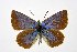  ( - DNAwthPamiria020)  @11 [ ] Copyright (2025) Wolfgang ten Hagen Unspecified
