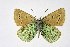  ( - DNAwthPamiria020)  @11 [ ] Copyright (2025) Wolfgang ten Hagen Unspecified
