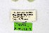  ( - DNAwthPamiria020)  @11 [ ] Copyright (2025) Wolfgang ten Hagen Unspecified