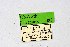  ( - DNAwthTuranana083)  @11 [ ] Copyright (2025) Wolfgang ten Hagen Unspecified
