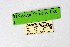  ( - DNAwthTarucus086)  @11 [ ] Copyright (2025) Wolfgang ten Hagen Unspecified