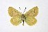  ( - DNAwthPamiria028)  @11 [ ] Copyright (2025) Wolfgang ten Hagen Unspecified