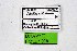  ( - DNAwthPamiria028)  @11 [ ] Copyright (2025) Wolfgang ten Hagen Unspecified
