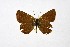  ( - DNAwthMiris002)  @11 [ ] copyright (2022) Wolfgang ten Hagen Unspecified