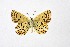  ( - DNAwthMiris002)  @11 [ ] copyright (2022) Wolfgang ten Hagen Unspecified