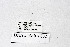  ( - DNAwthMiris002)  @11 [ ] copyright (2022) Wolfgang ten Hagen Unspecified