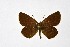  ( - DNAwthMiris003)  @11 [ ] copyright (2022) Wolfgang ten Hagen Unspecified