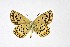  ( - DNAwthMiris003)  @11 [ ] copyright (2022) Wolfgang ten Hagen Unspecified