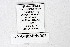  ( - DNAwthMiris003)  @11 [ ] copyright (2022) Wolfgang ten Hagen Unspecified