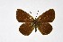  ( - DNAwthMiris004)  @11 [ ] copyright (2022) Wolfgang ten Hagen Unspecified