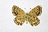  ( - DNAwthMiris004)  @11 [ ] copyright (2022) Wolfgang ten Hagen Unspecified