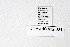  ( - DNAwthMiris004)  @11 [ ] copyright (2022) Wolfgang ten Hagen Unspecified