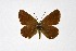  ( - DNAwthMiris005)  @11 [ ] copyright (2022) Wolfgang ten Hagen Unspecified