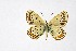  ( - DNAwthMiris005)  @11 [ ] copyright (2022) Wolfgang ten Hagen Unspecified