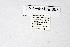  ( - DNAwthMiris005)  @11 [ ] copyright (2022) Wolfgang ten Hagen Unspecified