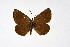  ( - DNAwthMiris001)  @11 [ ] copyright (2022) Wolfgang ten Hagen Unspecified