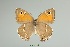  ( - Eck10-140)  @11 [ ] copyright (2023) Wolfgang Eckweiler Unspecified