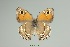  ( - Eck10-141)  @11 [ ] copyright (2023) Wolfgang Eckweiler Unspecified