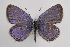  ( - JPages001)  @11 [ ] copyright (2022) Jerome Pages Unspecified