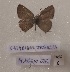  ( - FF-VN06)  @11 [ ] Copyright (2023) Francesco Fantoni Unspecified