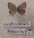  ( - FF-VN06)  @11 [ ] Copyright (2023) Francesco Fantoni Unspecified
