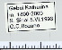  ( - GCB-Satyrium01)  @11 [ ] copyright (2023) Gian Cristoforo Bozano Unspecified