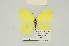  ( - GNEP-PKMUR3)  @11 [ ] Copyright (2024) Giancristoforo Bozano Unspecified