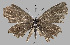  ( - Huang2024-01)  @11 [ ] Copyright (2024) Hao Huang Unspecified