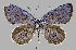  ( - Huang2024-03)  @11 [ ] Copyright (2024) Hao Huang Unspecified