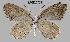  ( - Huang2024-03)  @11 [ ] Copyright (2024) Hao Huang Unspecified