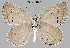  ( - Huang2024-04)  @11 [ ] Copyright (2024) Hao Huang Unspecified