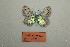  ( - ARLY-0519-001)  @11 [ ] Copyright (2021) Alireza Naderi Unspecified