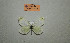  ( - ARPI-80-001)  @11 [ ] Copyright (2022) Alireza Naderi Unspecified
