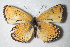  ( - Naderi2025-17)  @11 [ ] Copyright (2025) Alireza Naderi Unspecified
