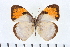  ( - CNCLEP00056726)  @15 [ ] CreativeCommons - Attribution Non-Commercial Share-Alike (2009) Unspecified Unspecified