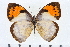  ( - CNCLEP00056727)  @15 [ ] CreativeCommons - Attribution Non-Commercial Share-Alike (2009) Unspecified Unspecified
