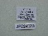  ( - JFC24023)  @11 [ ] Copyright (2024) Jean-Francois Charmeux Unspecified
